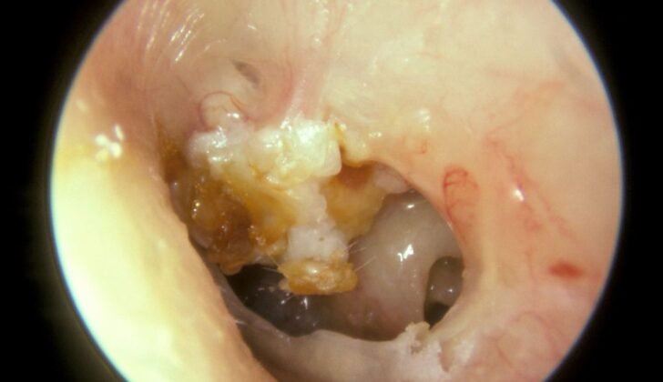 30703-1728918989908-728x420